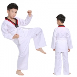 Taekwondo large.jpeg