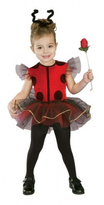 d lady bug  large