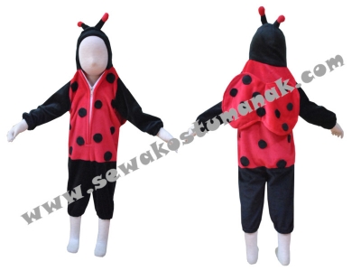 kostum binatang kepik  large