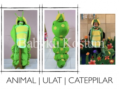 kostum catepillar.001  large