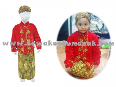 jawa bludru merah boy  large